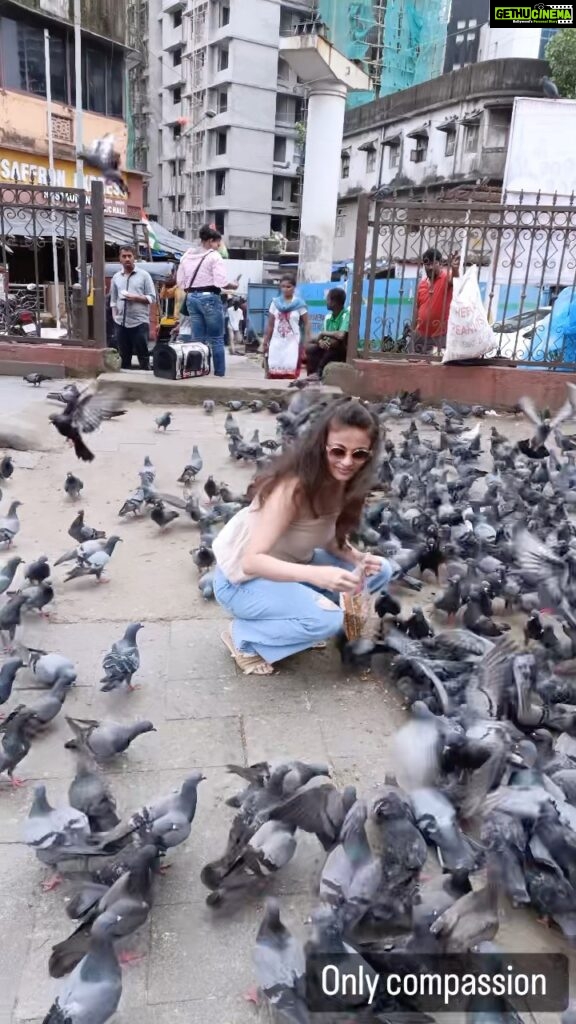 Sneha Ullal Instagram - It’s such a beautiful feeling when a rescue mission ends with a beautiful release ..My pigeon was released in Bandra Talav ,she flew away beautifully while i stayed back and fed the rest.. #snehaullal #crueltyfree #vegan #love