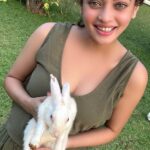 Sneha Ullal Instagram – “My happy place” also known as @tajlandsend .Did you know you can go feed,play & interact with loving human friendly rabbits by the pool? I highly recommend it,especially if you have kids or just are an animal lover like me.The staff hands out carrots bites for you to feed,but you can also carry along with you coriander ( kothmir ) leaves,fenugreek ( methi ) leaves,cauliflower & more carrot.Dont forget to stop by the pool bar and order yourself a cool beverage while you enjoy the rabbits play around on the beautifully landscaped Taj gardens.The rabbits like good weather so choose the timing accordingly.Me so happy with @mansibajajf Taj Lands End, Mumbai