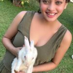Sneha Ullal Instagram - “My happy place” also known as @tajlandsend .Did you know you can go feed,play & interact with loving human friendly rabbits by the pool? I highly recommend it,especially if you have kids or just are an animal lover like me.The staff hands out carrots bites for you to feed,but you can also carry along with you coriander ( kothmir ) leaves,fenugreek ( methi ) leaves,cauliflower & more carrot.Dont forget to stop by the pool bar and order yourself a cool beverage while you enjoy the rabbits play around on the beautifully landscaped Taj gardens.The rabbits like good weather so choose the timing accordingly.Me so happy with @mansibajajf Taj Lands End, Mumbai