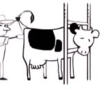 Sneha Ullal Instagram - In the dairy industry farmers forcibly impregnate cows OVER & OVER again on the what the industry calls a “ rape rack “ . New borns are then taken away from their mamma’s within 24hours. The male cows are SHOT or SLAUGHTERED for veal while the female cows are condemned to endure the same vicious cycle OVER & OVER again until they too are slaughtered at age 5. This is why I don’t consume dairy or eat meat.It’s just cruel.Can you try too?