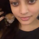 Sneha Ullal Instagram – They can have their Gucci on, they can have their LV,all I need is a cat in my hair and that’s the best look. #snehaullal #pet #catsofinstagram #catlife Mumbai, Maharashtra