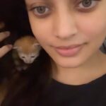 Sneha Ullal Instagram - They can have their Gucci on, they can have their LV,all I need is a cat in my hair and that’s the best look. #snehaullal #pet #catsofinstagram #catlife Mumbai, Maharashtra