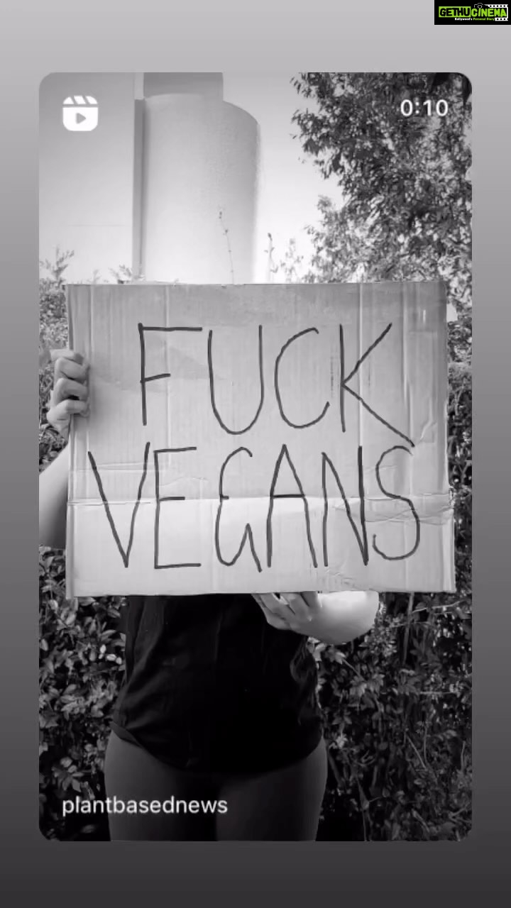 Sneha Ullal Instagram - 🌱 #snehaullal #vegan 😎😏 The Ville Jomtien