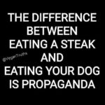 Sneha Ullal Instagram - No arguments here