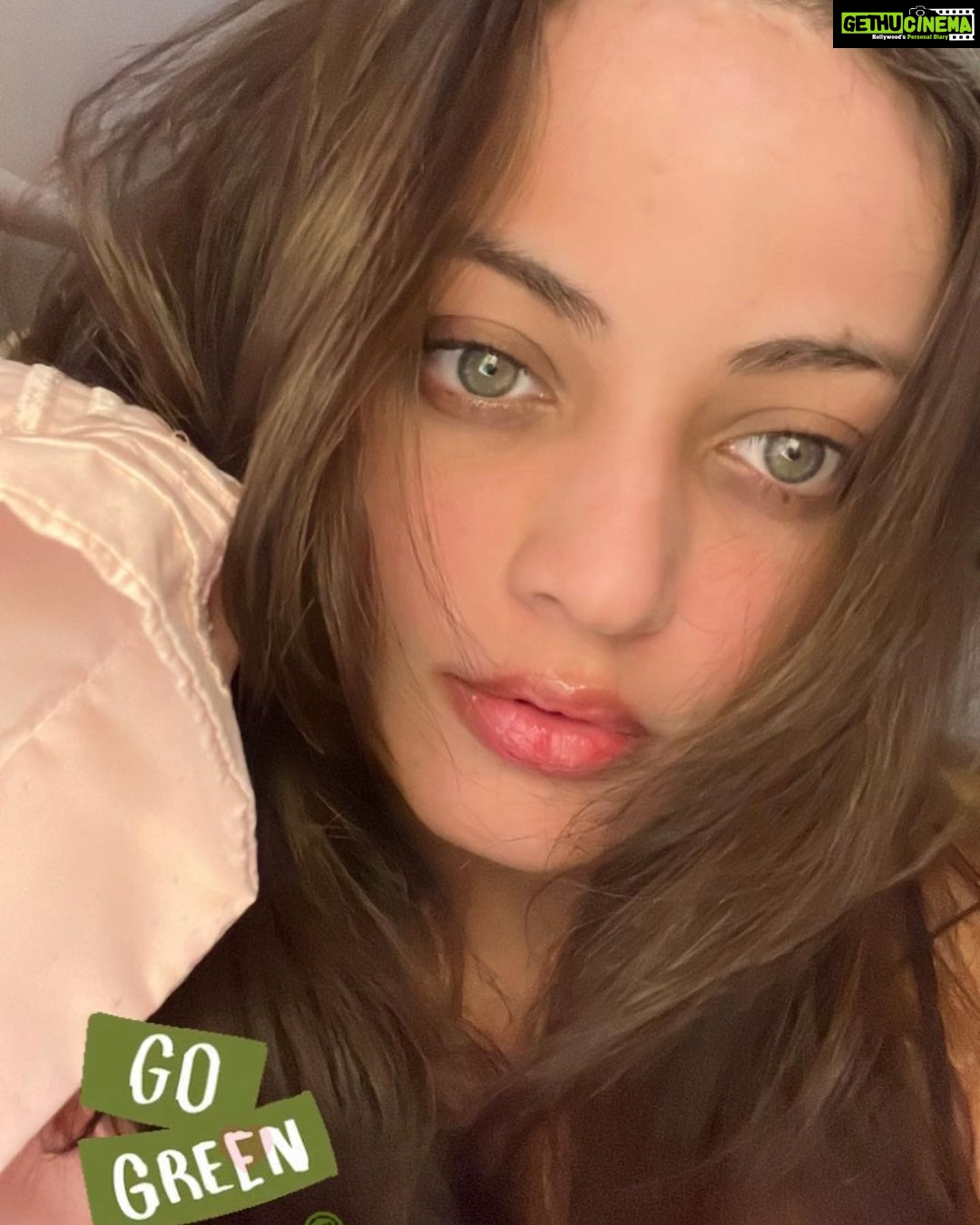 Sneha Ullal Instagram - Just like my eyes! MY fashion, my food , my lifestyle , my heart. Itβs all green! β
π#snehaullal #gogreen #vegan #plantbased #nomeat #nodairy
