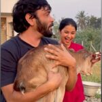 Snehan Instagram - எங்க வீட்டு மாடு அழகான பெண் கன்னுக்குட்டிப் போட்டிருக்காங்க. புதுசா வந்த எங்க உறவுக்கு துளசின்னு பேர் வச்சிருக்கோம். 🤞🥰🤗😘☺🌿🌼🌻🌺🥀🌹🌾🪴🌴🌵🍂☘ #thanjai @ikamalhaasan #native #love #care #animals #animallovers #treditional #village #travel #tamil #culture #hubbylove #instagood #instagram #instalike #insta #instalove #reels #reelsinstagram #reelsvideo #songs #song
