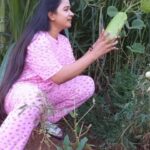Snehan Instagram - Love nature's 🌿🌿