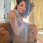 Sobhita Dhulipala Instagram – Cute sleepy bum