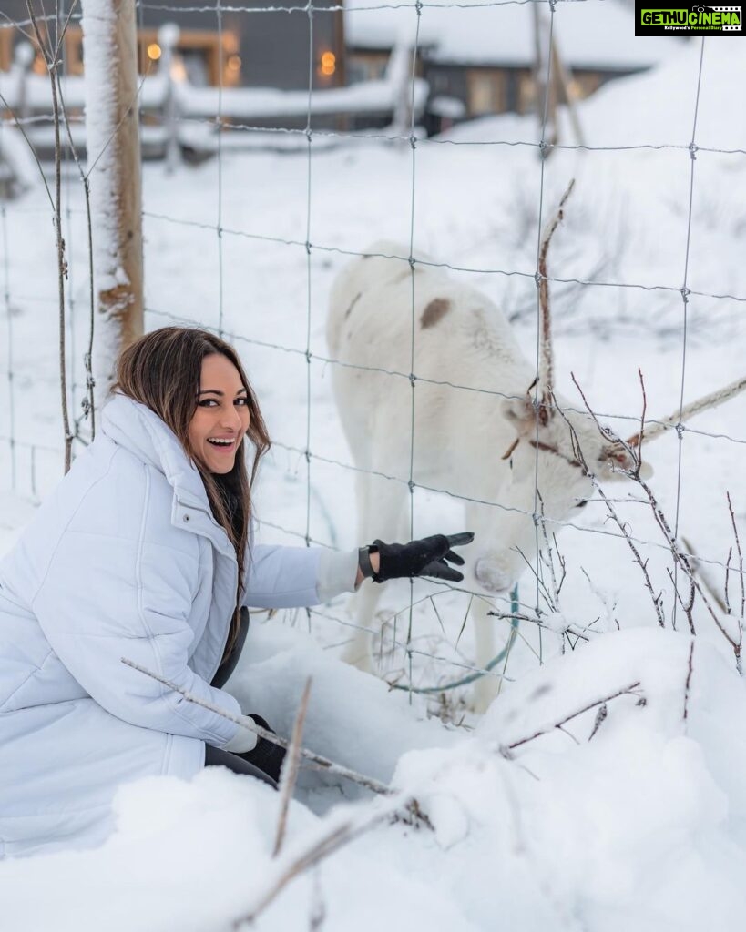 Sonakshi Sinha Instagram - Winter wonderland? Nope… its @apukkaresort! Coziest cabin, lots of snow, reindeer love, furry horses, tents that keep you warm and the best coffee… cant wait to be back!!! @ourfinland @visitrovaniemi #VisitFinland 📸: @roliveira33 Apukka Resort Rovaniemi