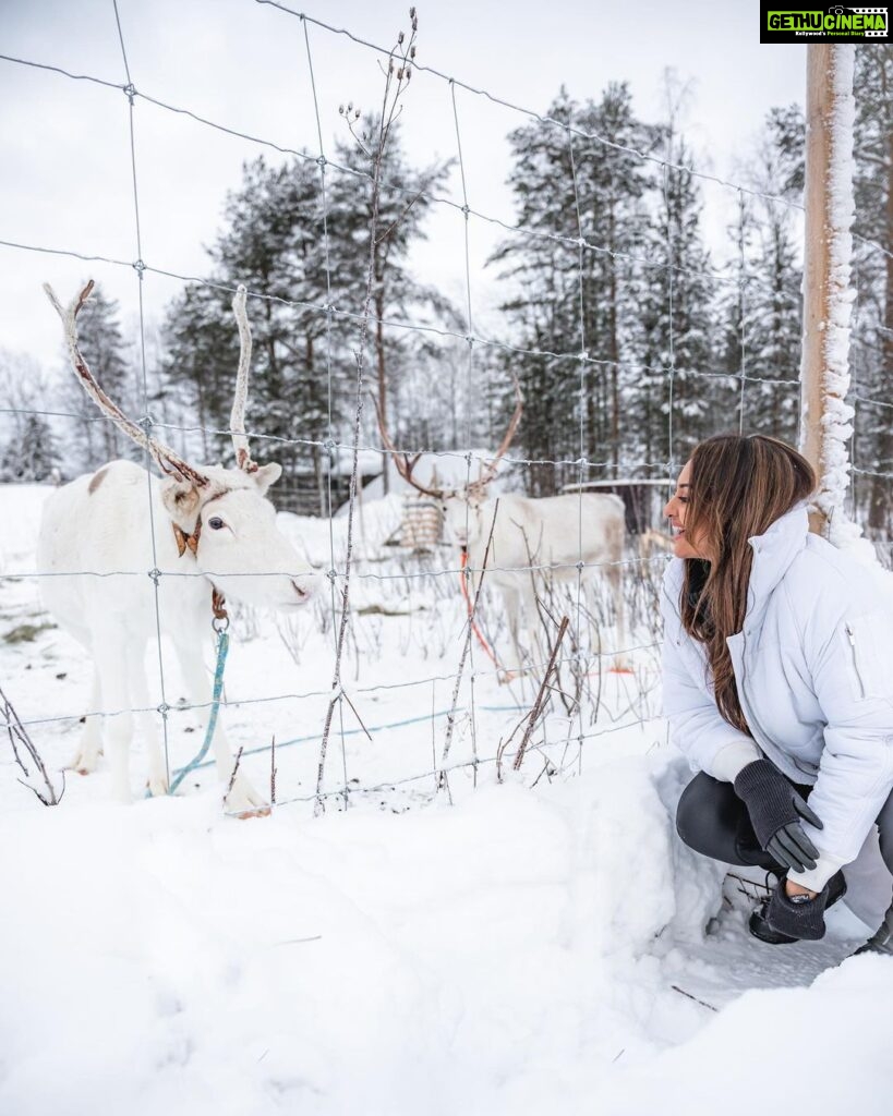 Sonakshi Sinha Instagram - Winter wonderland? Nope… its @apukkaresort! Coziest cabin, lots of snow, reindeer love, furry horses, tents that keep you warm and the best coffee… cant wait to be back!!! @ourfinland @visitrovaniemi #VisitFinland 📸: @roliveira33 Apukka Resort Rovaniemi