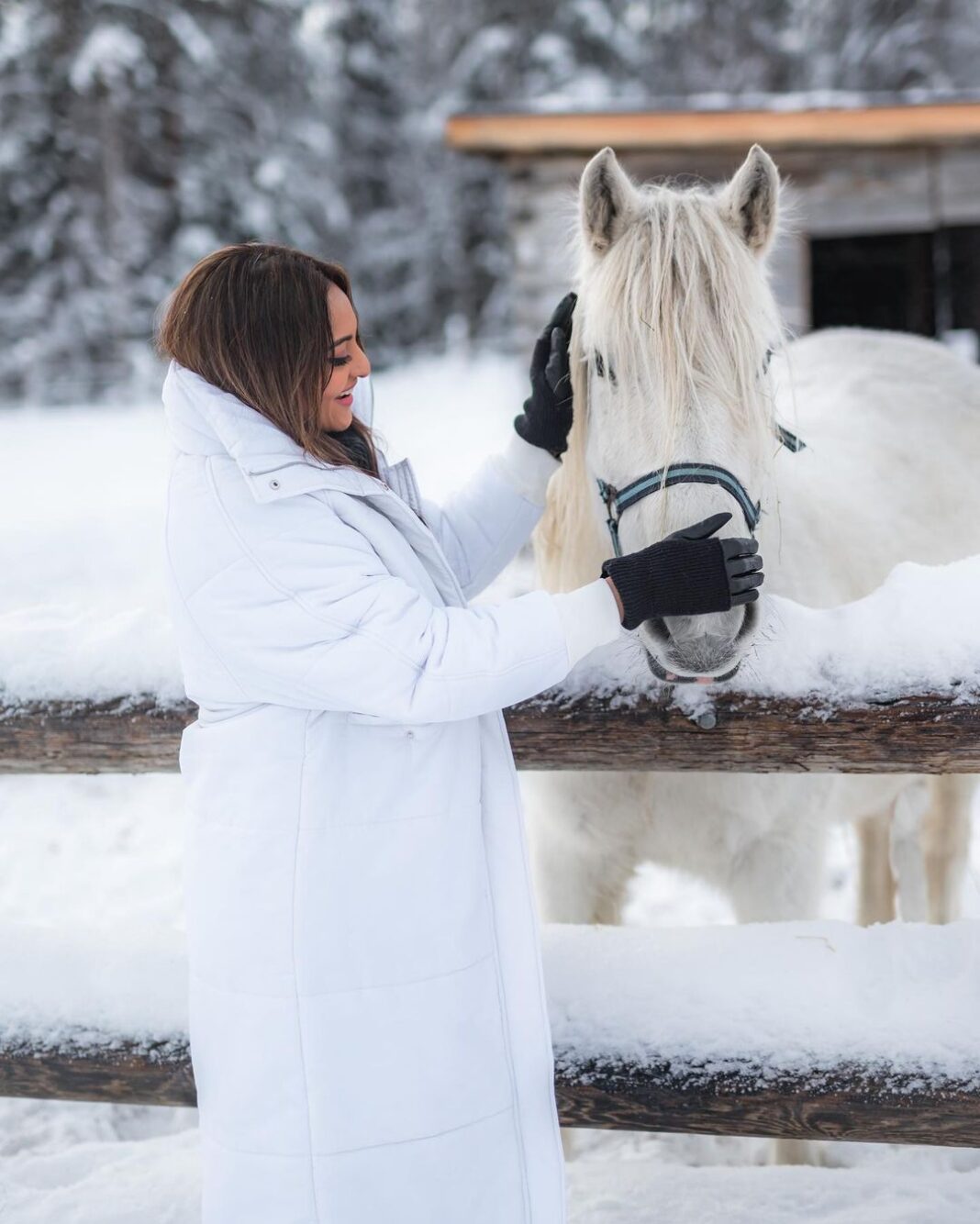 Sonakshi Sinha Instagram - Winter wonderland? Nope… its @apukkaresort! Coziest cabin, lots of snow, reindeer love, furry horses, tents that keep you warm and the best coffee… cant wait to be back!!! @ourfinland @visitrovaniemi #VisitFinland 📸: @roliveira33 Apukka Resort Rovaniemi