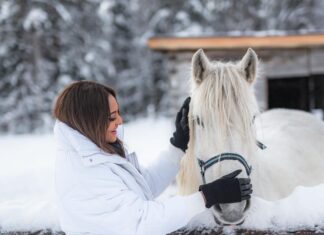 Sonakshi Sinha Instagram - Winter wonderland? Nope… its @apukkaresort! Coziest cabin, lots of snow, reindeer love, furry horses, tents that keep you warm and the best coffee… cant wait to be back!!! @ourfinland @visitrovaniemi #VisitFinland 📸: @roliveira33 Apukka Resort Rovaniemi