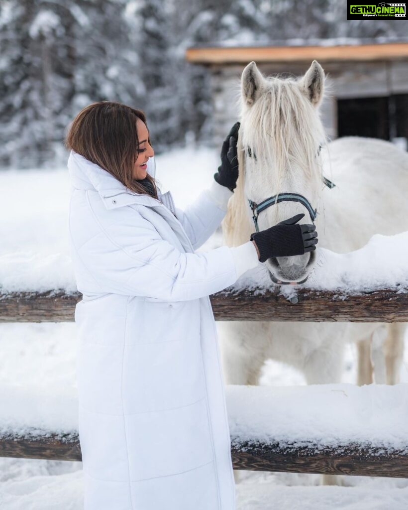 Sonakshi Sinha Instagram - Winter wonderland? Nope… its @apukkaresort! Coziest cabin, lots of snow, reindeer love, furry horses, tents that keep you warm and the best coffee… cant wait to be back!!! @ourfinland @visitrovaniemi #VisitFinland 📸: @roliveira33 Apukka Resort Rovaniemi