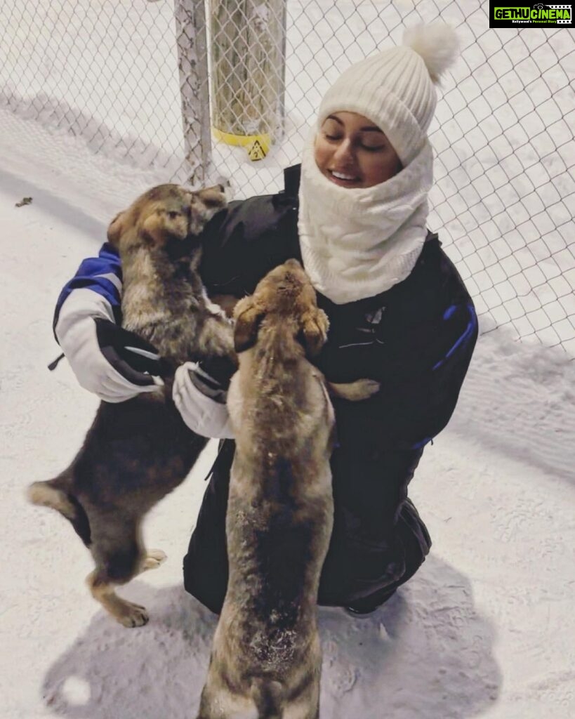 Sonakshi Sinha Instagram - For a person who hates the cold, @northernlightsvillage in @ourfinland has sure changed my mind! What a surreal experience feeling snow for the first time ever…looking at the stars from inside my aurora cabin, going husky sledging in the vast white expanse, chasing the northern lights and lighting a bonfire in the middle of nowhere, roasting marshmallows, drinking hot chocolate oh and freezing myself at -14 degrees only to get into a hot tub… Saariselka you have my ❤️ #VisitFinland Northern Lights Village Saariselkä