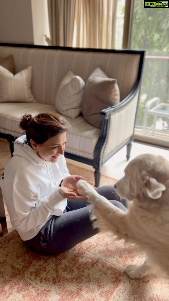 Sonali Bendre Instagram - My fur-ever happy space… #LilMissIcy ❤️❤️ #PetMom