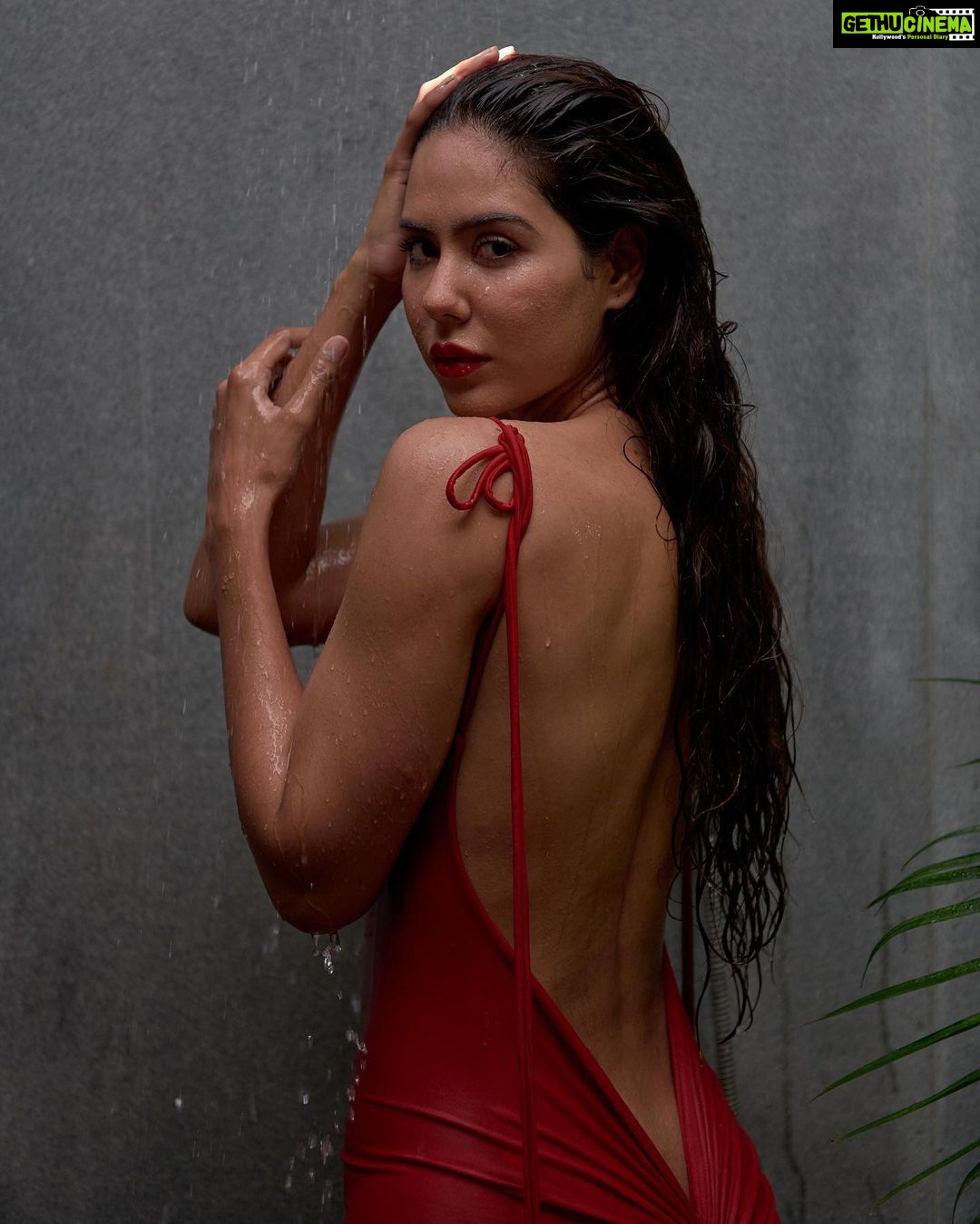 Sonam Bajwa Instagram - 🌹🌹🌹 📸 @aviraj