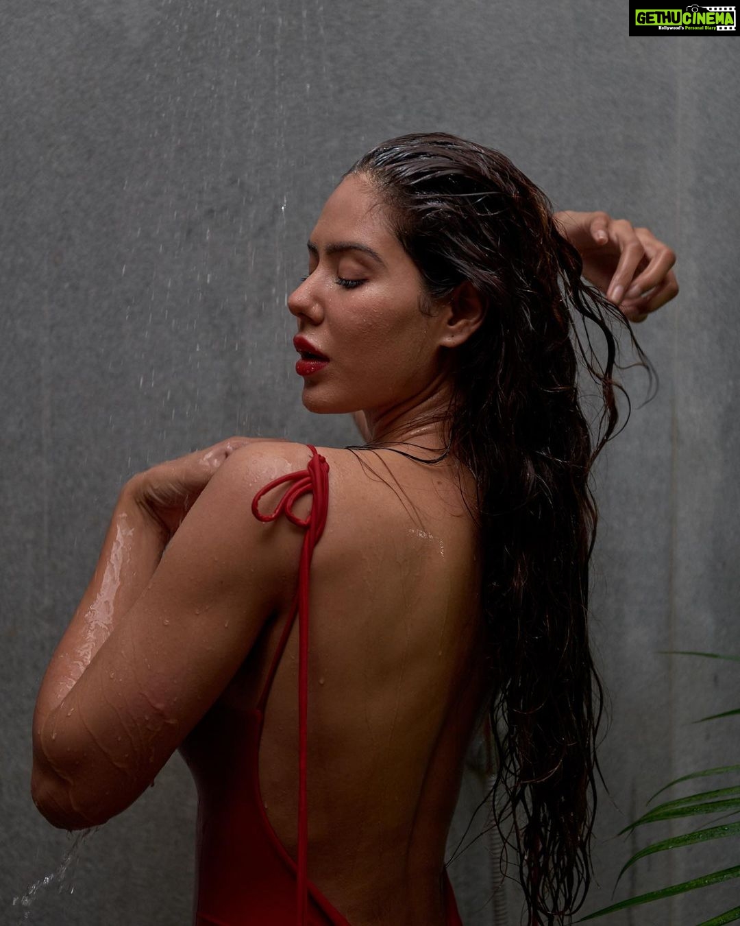 Sonam Bajwa Instagram - 🌹🌹🌹 📸 @aviraj