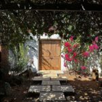 Sonam Bajwa Instagram - When God opens a door, no man can shut 🤍