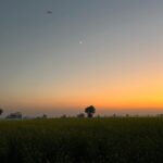 Sonam Bajwa Instagram – Sunsets these days 😍😍