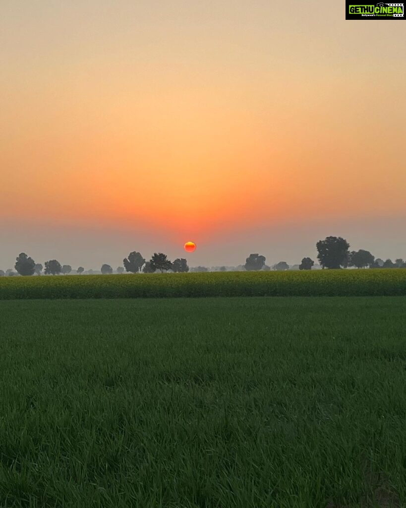 Sonam Bajwa Instagram - Sunsets these days 😍😍
