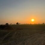 Sonam Bajwa Instagram – Sunsets these days 😍😍
