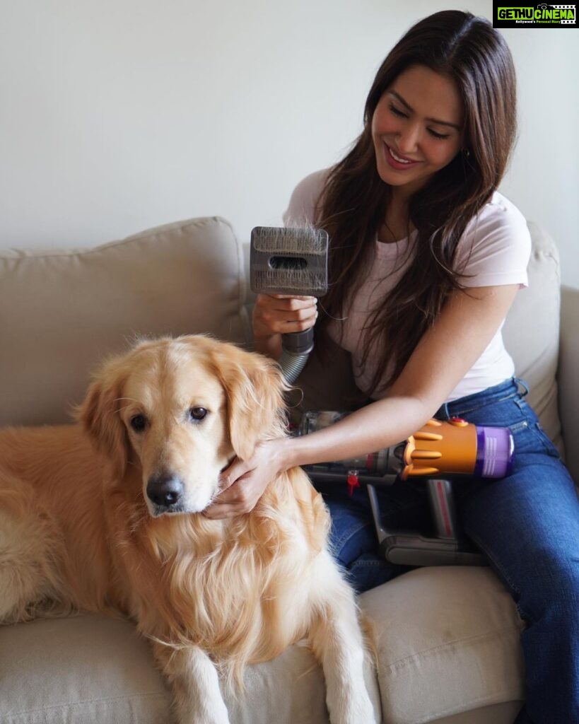 Sonam Bajwa Instagram - Simba- my one true love 🤍 My golden boy is a work of art ( but grooming him is not a cakewalk) Never thought I’d be able to take care of his shedding sitting at home without any mess- but dreams do come true! The Dyson pet grooming kit is as good as it gets, just comb through and see the magic. @dyson_india #DysonIndia #DysonHome #PetGroomingKit #gifted