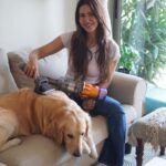 Sonam Bajwa Instagram - Simba- my one true love 🤍 My golden boy is a work of art ( but grooming him is not a cakewalk) Never thought I’d be able to take care of his shedding sitting at home without any mess- but dreams do come true! The Dyson pet grooming kit is as good as it gets, just comb through and see the magic. @dyson_india #DysonIndia #DysonHome #PetGroomingKit #gifted