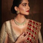 Sonam Kapoor Instagram - What a spectacular evening ! What a show! Thank you @jjvalaya for making me the most beautiful sari. Outfit : @jjvalaya @amigos.rizwan Necklace : @khannajewellerskj Earrings : @estaagems Shoes : @aprajitatoor @elevate_promotions Bag : @abhilasha_pret_jewelry Make up : @namratasoni Hair : @bbhiral Styling : @rheakapoor Styled with : @abhilashatd @dipteeagarwal Photography : @thehouseofpixels BKC