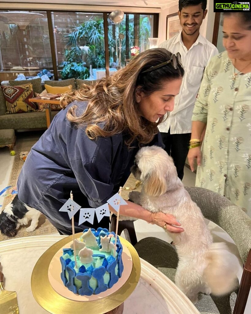 Sonam Kapoor Instagram - Happy Happy Birthday Mama, love you the most. Nothing beats your hug, sitting in your lap and surrounded by your love and care. I will forever feel like a child in your presence and I’m so grateful for that. Love you mama. #bestnani #bestdogmom #bestmom #supermom #spiritualgangster #hostesswiththemostess #wifegoals #momgoals Anil Kapoors House, Juhu, Mumbai
