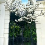 Sonam Kapoor Instagram - Spring is coming….. @anandahuja #vayusparents #everydayphenomenal Notting Hill