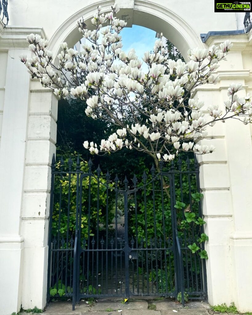 Sonam Kapoor Instagram - Spring is coming….. @anandahuja #vayusparents #everydayphenomenal Notting Hill
