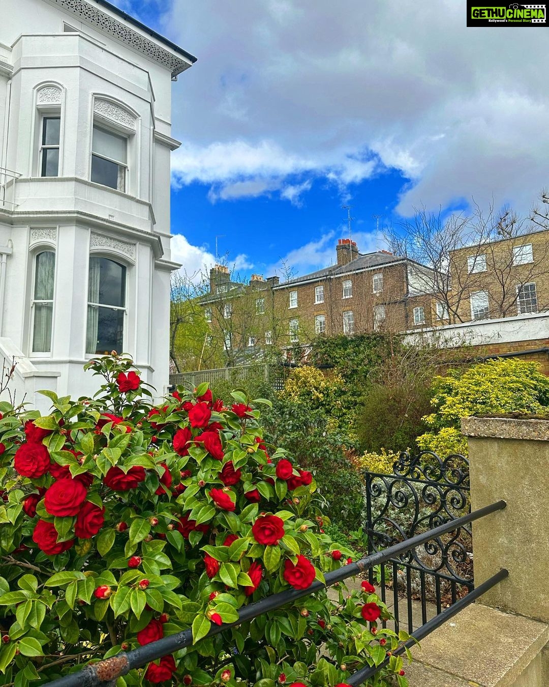 Sonam Kapoor Instagram - Spring is coming….. @anandahuja #vayusparents #everydayphenomenal Notting Hill