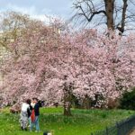 Sonam Kapoor Instagram - Spring is coming….. @anandahuja #vayusparents #everydayphenomenal Notting Hill