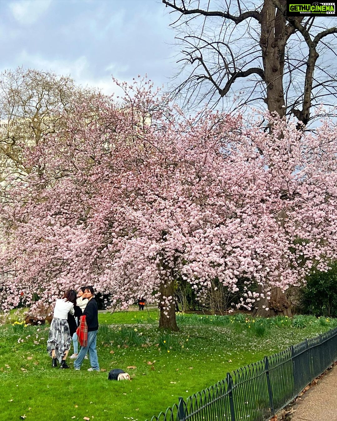 Sonam Kapoor Instagram - Spring is coming….. @anandahuja #vayusparents #everydayphenomenal Notting Hill