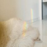 Sonarika Bhadoria Instagram - 🦥