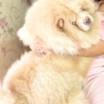 Sonarika Bhadoria Instagram - So Far . . .✨🫀🧿