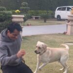 Sonu Sood Instagram - Snowy 🐕❤️