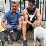 Sonu Sood Instagram – ” You can always
find hope
in a dog eyes ” 
Feed your soul 
Adopt a stray dog 🐶 
 🤍