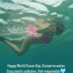 Sophie Choudry Instagram – #WorldOceanDay 🌊 Is there anything more magical than the Ocean? The beauty, the mystery, the life it holds. Oceans aren’t just water bodies, they are a source of life. They feed us, regulate our climate, and generate most of the oxygen we consume. Every wave has the power to recharge us! We are all connected and it is our duty to protect our oceans and all its beautiful creatures. We MUST stop polluting our Oceans, stop plastic pollution, fish responsibly, conserve water 🌊🌍 #worldoceansday #ocean #stopplasticpollution #conservewater #nature #snorkeling #fish #seaturtle #maldives #sophiechoudry 
#myhappyplace #underwater 

Tku @fairmont.maldives @nillynilzz for the beautiful experience🩵