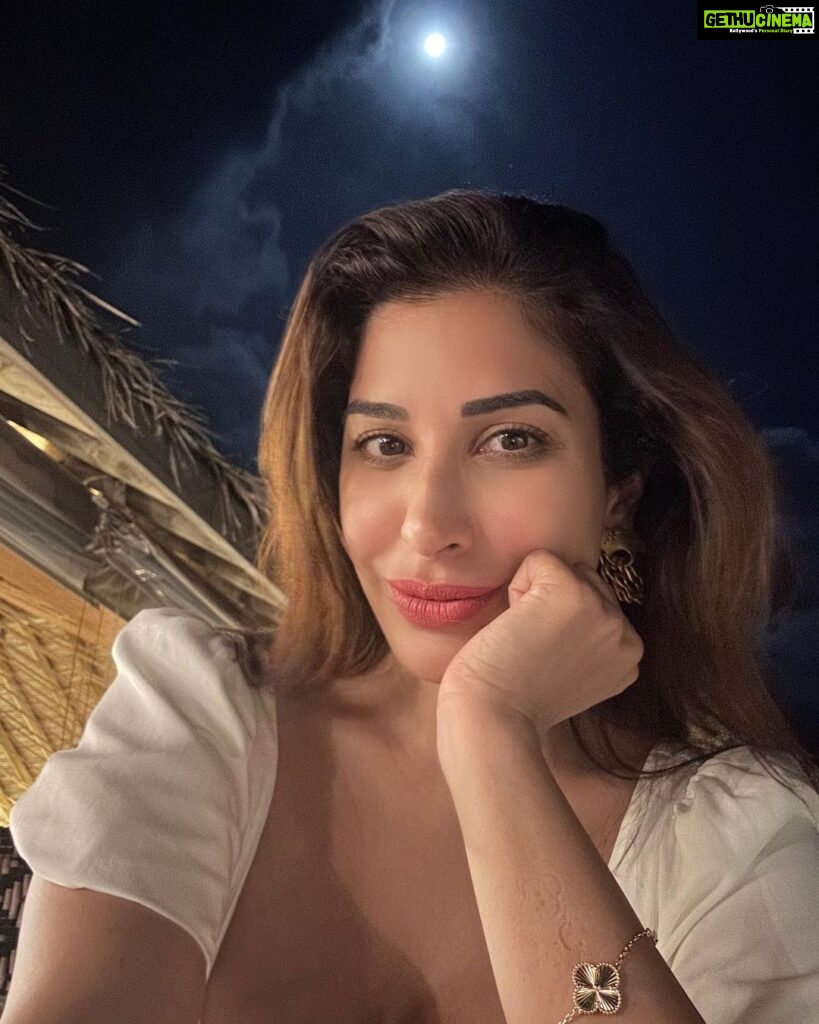 Sophie Choudry Instagram - Lately❤️🧿 #gratitude #itsthelittlethings #lovemyjob #giglife #dogmom #shihtzu #sunsets #sophiechoudry