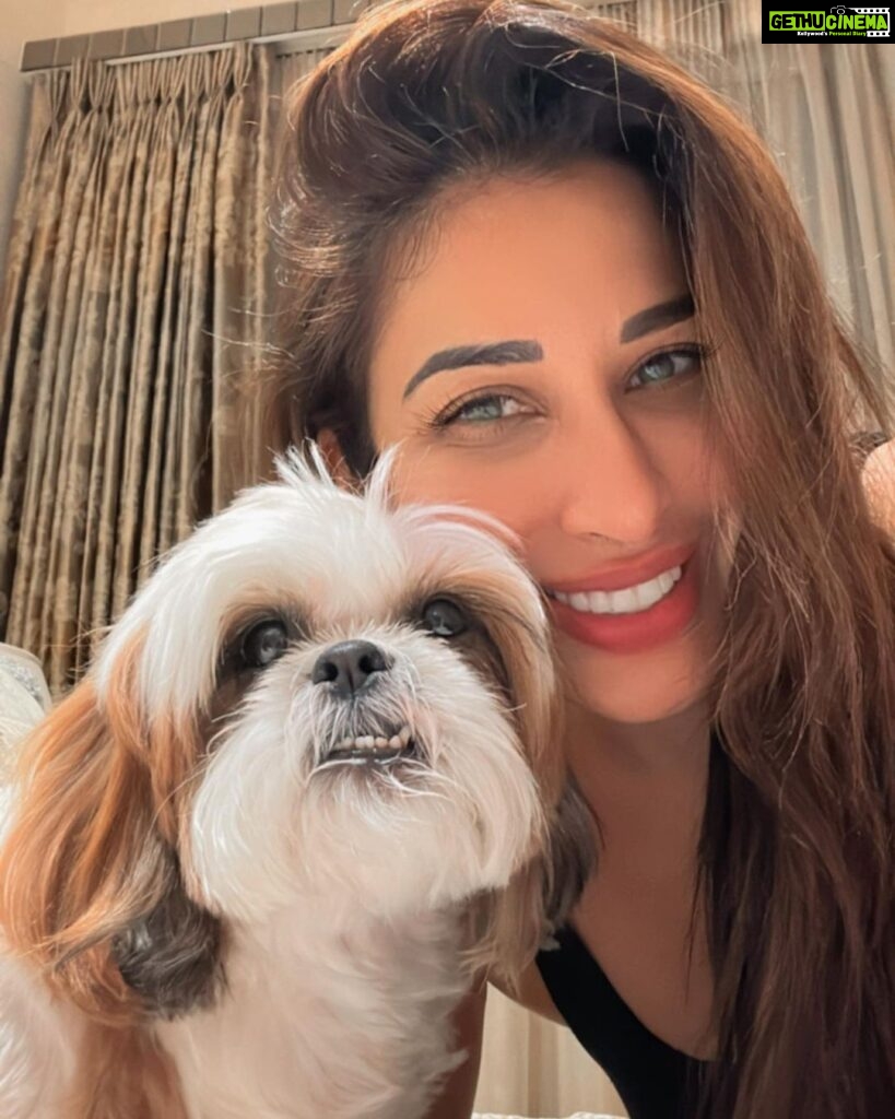 Sophie Choudry Instagram - Lately❤️🧿 #gratitude #itsthelittlethings #lovemyjob #giglife #dogmom #shihtzu #sunsets #sophiechoudry