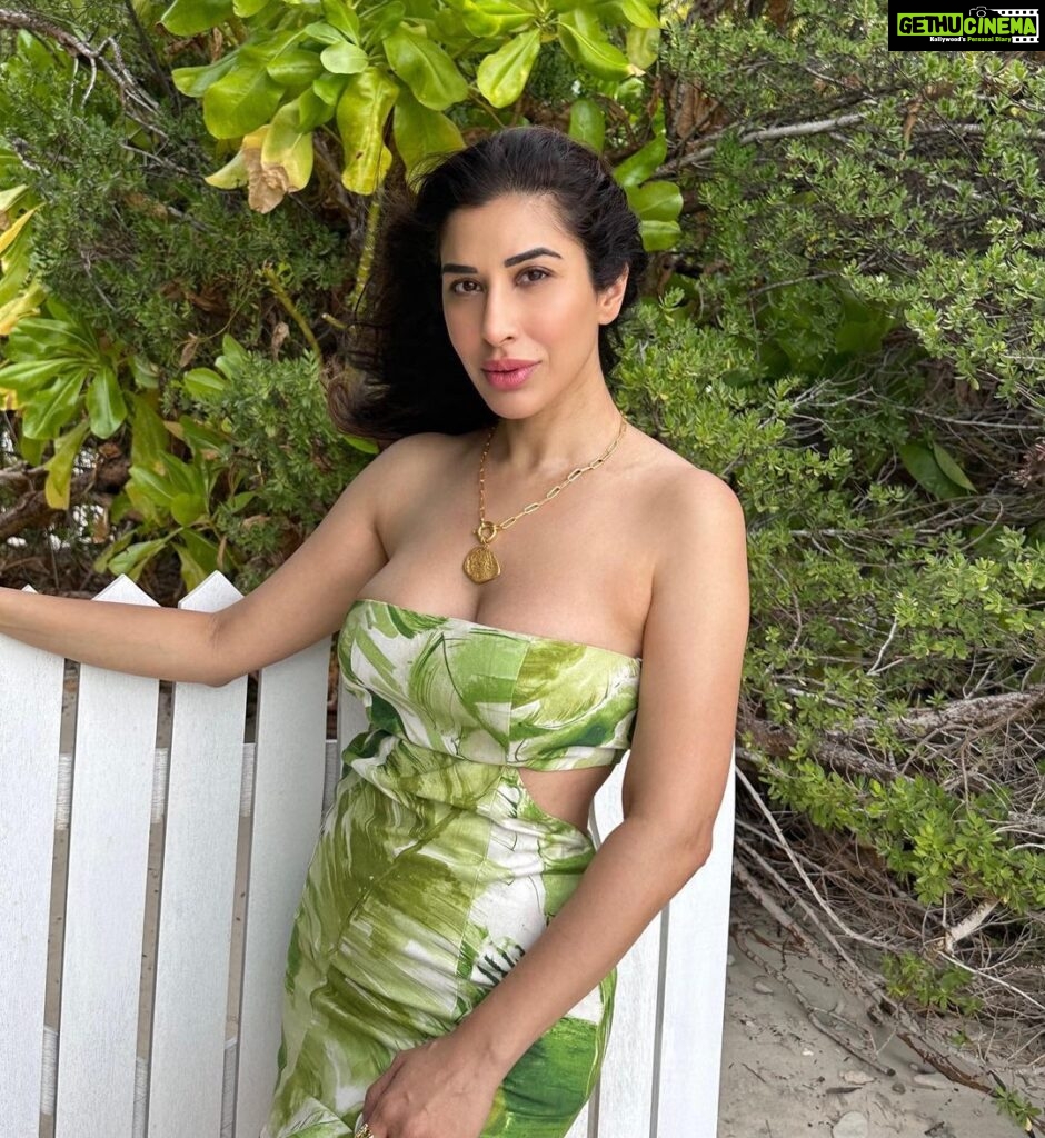 Sophie Choudry Instagram - Never stop be-leafing 🍃💚 #selflove #summervibes #somewherespecial Dress @julyissue_online Necklace @since1988.in @tanimakhosla #positivevibesonly #nature #naturalbeauty #nofilterneeded #green #sophiechoudry #traveldiaries #leaf