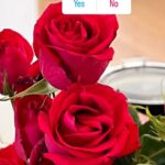 Soumya Seth Instagram – Have you ever grown roses from the stem cutting? If yes, tell me how was your experience. What did you do wrong? What did you do right? Would love to read the comments. Great Falls, Virginia