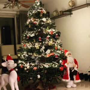 Soundarya Rajinikanth Instagram - What a wonderful time of the year 😀😀😇😇❤️❤️ Christmas & karthikai deepam at home 🙏🏻🙏🏻🙏🏻 #GodBlessUsAll