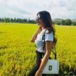 Sreeleela Instagram - A little of what I’ve been upto lately 📍🫶🏻✨ 1 & 2 - Monkeying around Mysore 🙈 3 - I saw fishes 🥰 4- posing :P Mysore, Karnataka