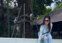 Sreemukhi Instagram - Phuketttttttt my Lou! ❤️😍 And these cutie boys!!! ❤️ #holiday #tigerkingdom #sreemukhi #phuket #thailand #birthdaygirl Tiger Kingdom, Phuket, Thailand