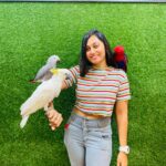 Sreethu Krishnan Instagram - 😍one amazing day✨😍🐒 @petstationkannur …. #birds #instagram #kannur # Kannur കണ്ണൂര്