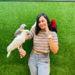 Sreethu Krishnan Instagram - 😍one amazing day✨😍🐒 @petstationkannur …. #birds #instagram #kannur # Kannur കണ്ണൂര്