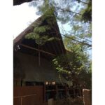 Sri Divya Instagram - @sadhanaforest 💚 is a must visit in #Auroville #Pondicherry. Like the #Auroville, @sadhanaforest also has been transformed from a barren land to a lush green forest by the love of the founders and the volunteers. A calming space to get close to the nature and one’s true nature! ❤️ For volunteering, email India@sadhanaforest.org #manmadeforest #communityliving #veganlife