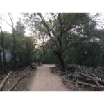 Sri Divya Instagram - @sadhanaforest 💚 is a must visit in #Auroville #Pondicherry. Like the #Auroville, @sadhanaforest also has been transformed from a barren land to a lush green forest by the love of the founders and the volunteers. A calming space to get close to the nature and one’s true nature! ❤️ For volunteering, email India@sadhanaforest.org #manmadeforest #communityliving #veganlife